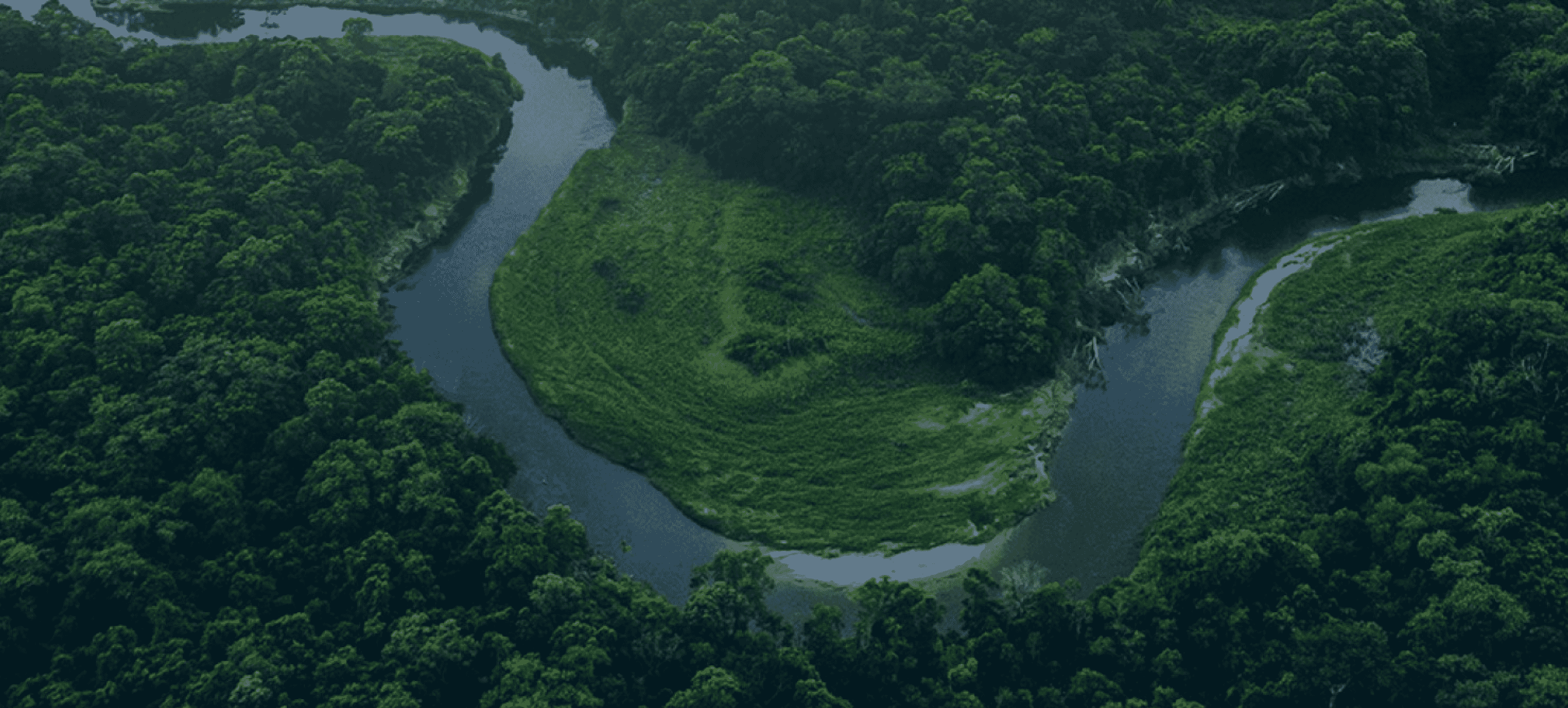 environmental-pledge