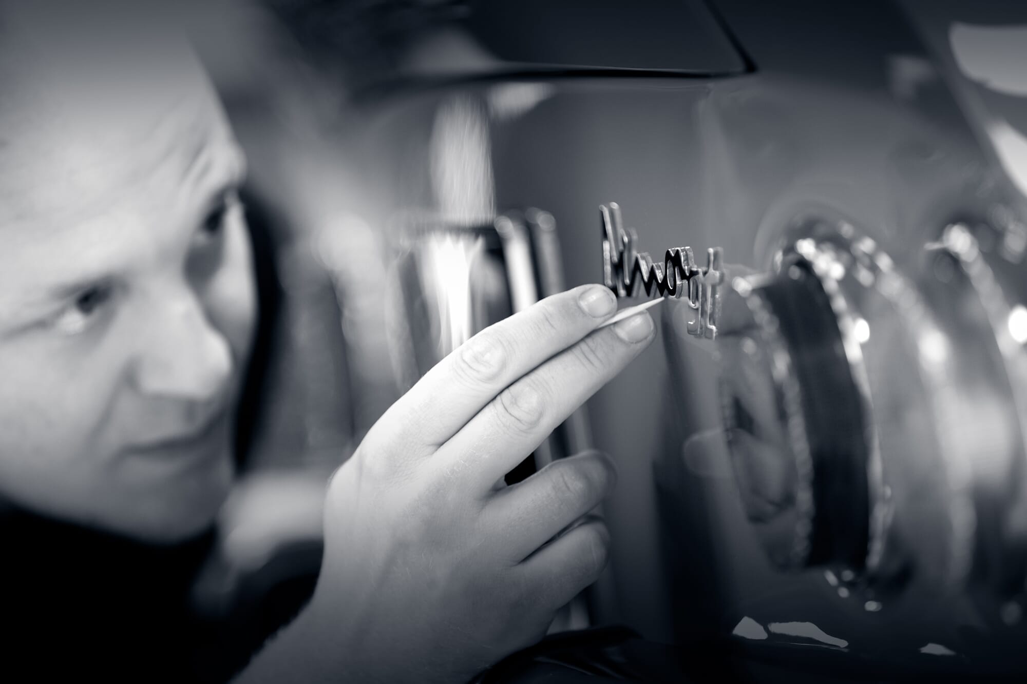 Windrush-dino-toothpick