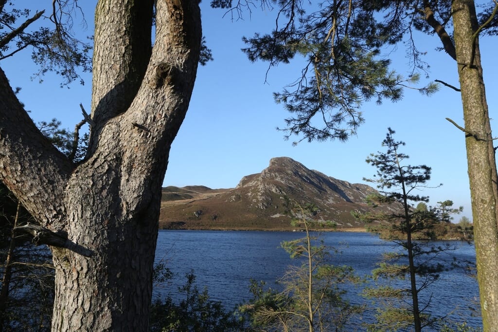 Llynnau Cregennan / Cregennan Lakes, Snowdonia