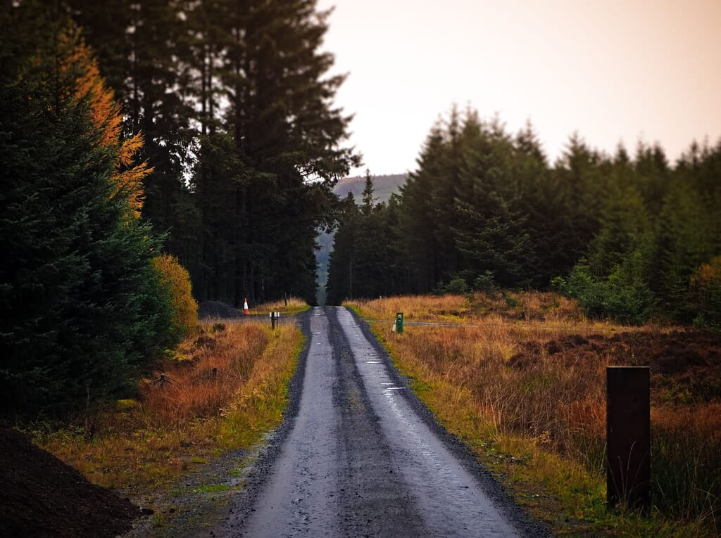 Kielder Firest autumn drive