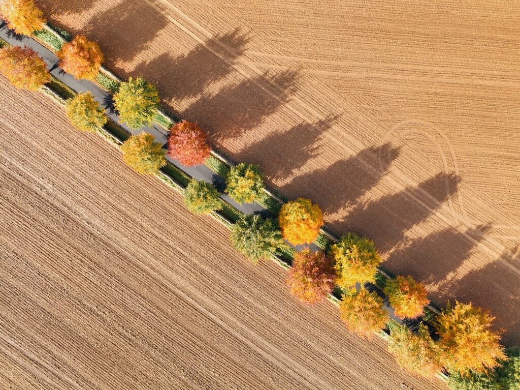 Cheltenham drive in the Autumn