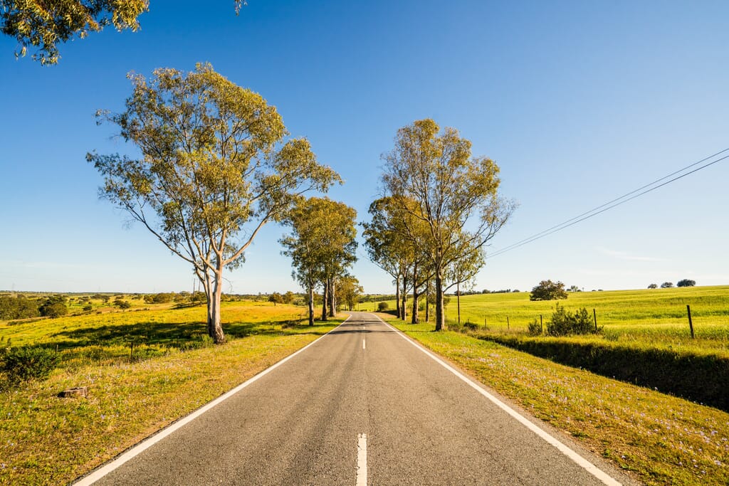 2025 Top 10 Drives: N2 Portugal