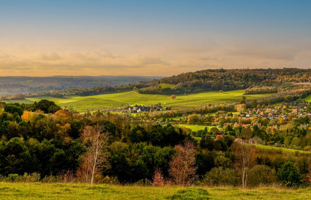 Surrey Hills and Box Hill Road