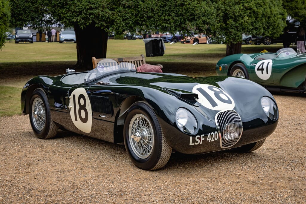 Jaguar_ctype