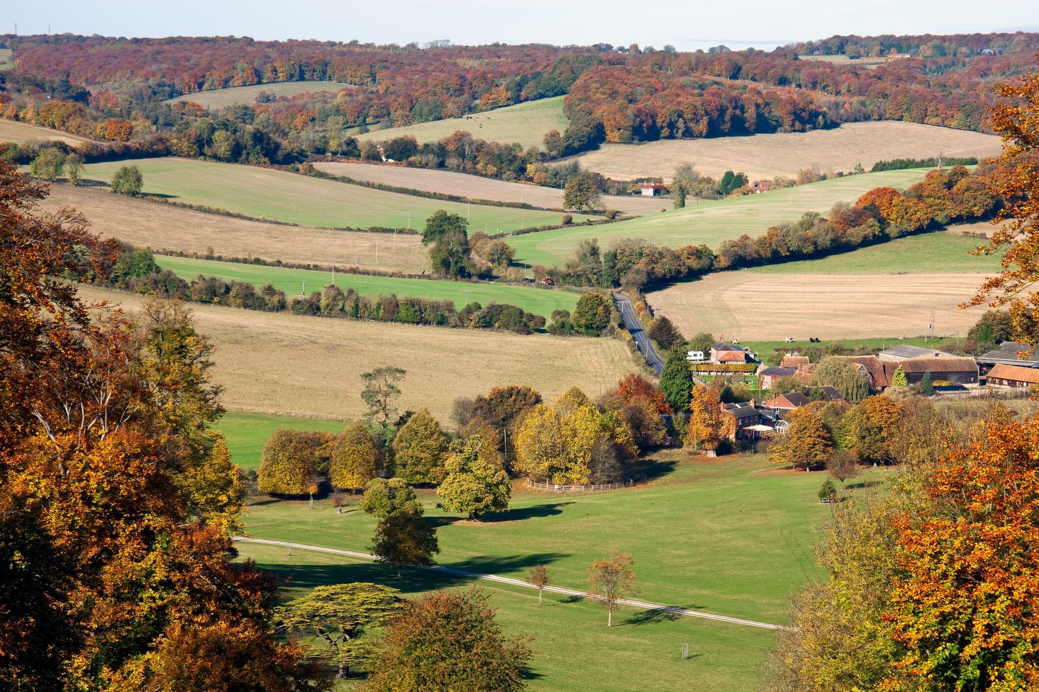 The Chilterns Autumn