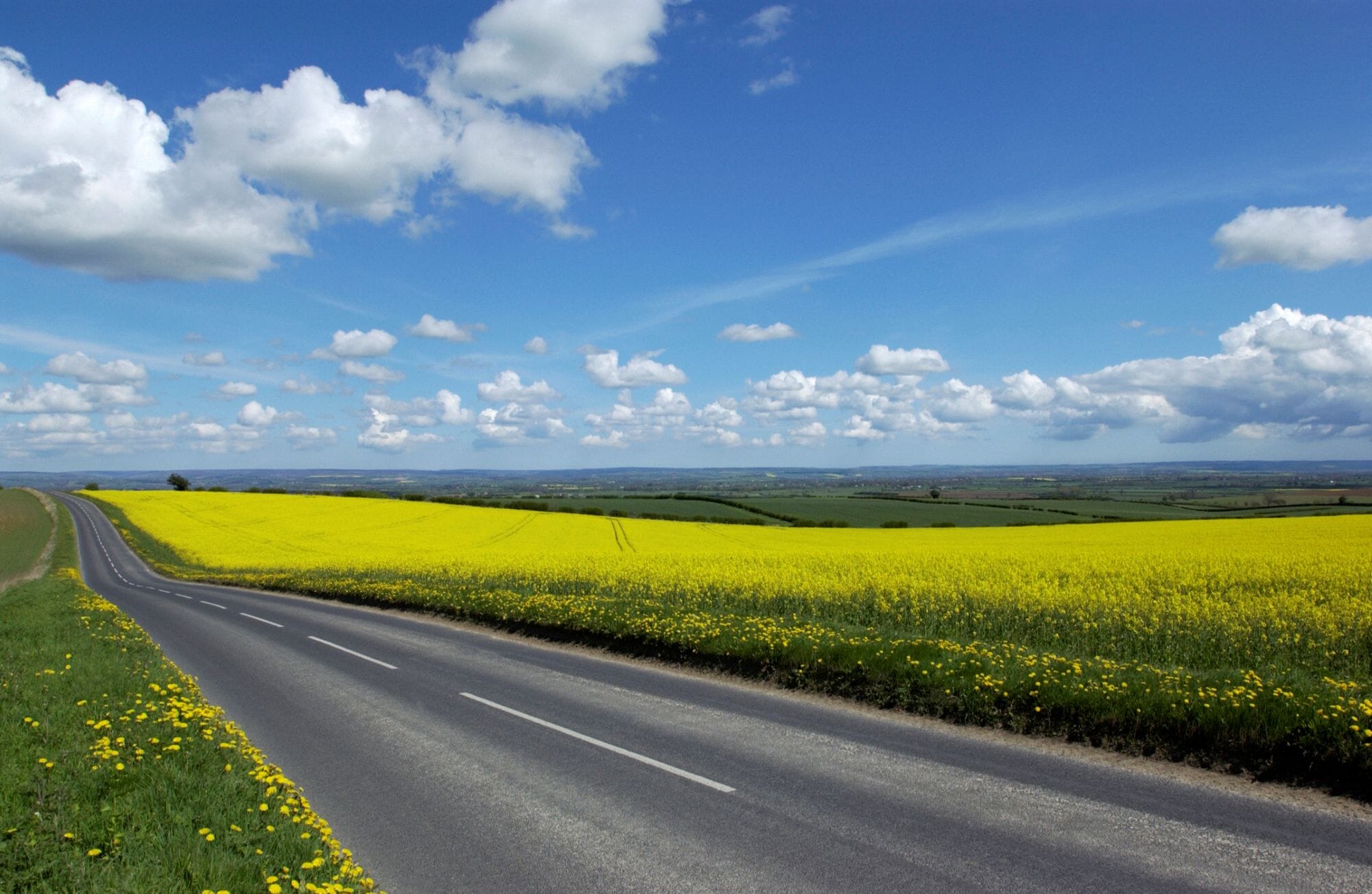Yorkshire Road in Spring